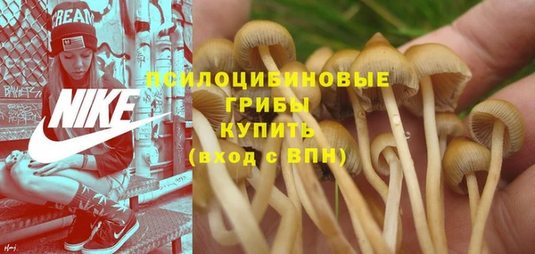 каннабис Киреевск