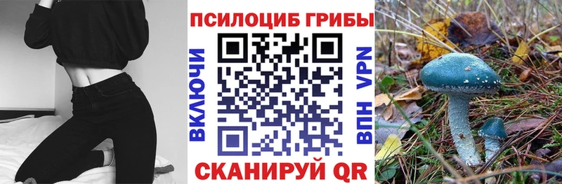 Галлюциногенные грибы MAGIC MUSHROOMS  Купить где  Саянск 